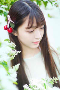 离婚律师电视剧