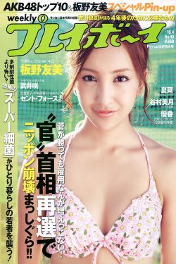 夫妻本是林中鸟短剧