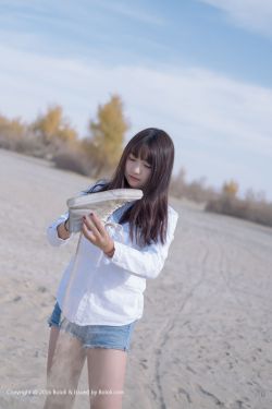 复仇者之死